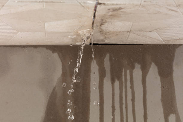 Professional Water Damage Repair technician working in Warren, IL